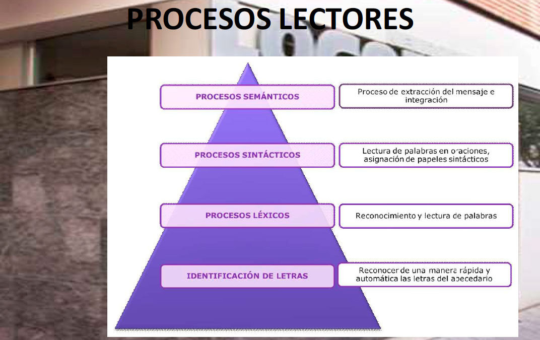 Procesos lectores desde EI a 2º EP